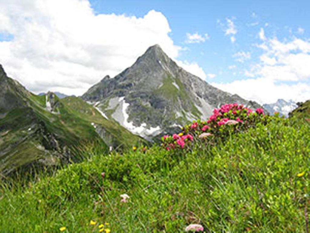 Gaestehaus Alpengruss Майргофен Екстер'єр фото